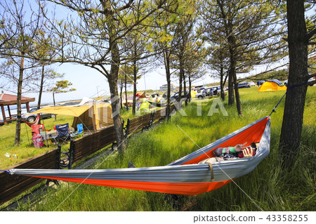 Camping in Jeju Island 43358255