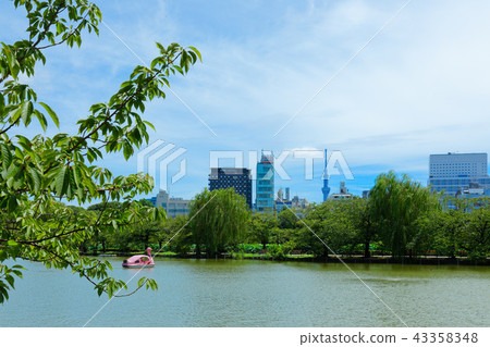 上野Shinobu池塘休閒船和葉子綠色天空樹 43358348