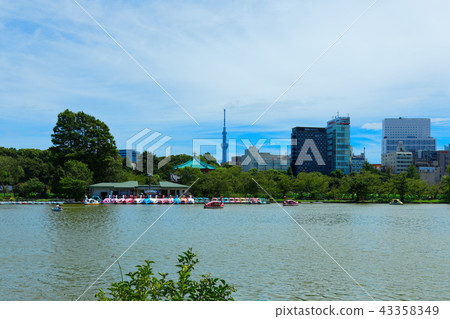 上野Shinobu池塘休閒船和葉子綠色天空樹 上野Shinobu池塘休閒船和葉子綠色天空樹 43358349