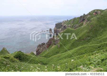 Hokkaido · Shakeda 43358511