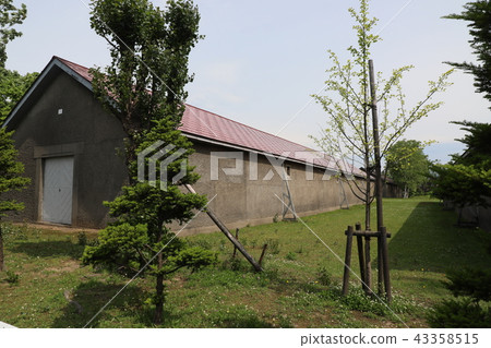 Hokkaido · Shakeda 43358515