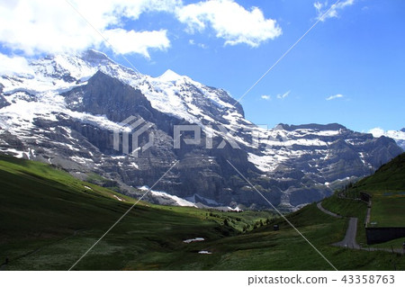 Silverhorn, Jungfrau and meadows in the Alps 43358763