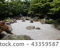 Japanese garden 43359587