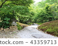 Japanese garden 43359713