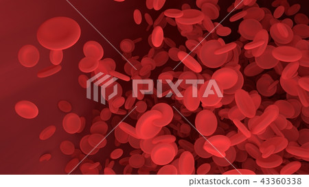 Red blood cell in blood vessel of body. Red blood cell in blood vessel of body. 43360338