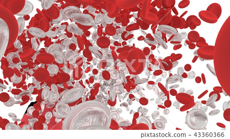 Red blood cell of body. Red blood cell of body. 43360366