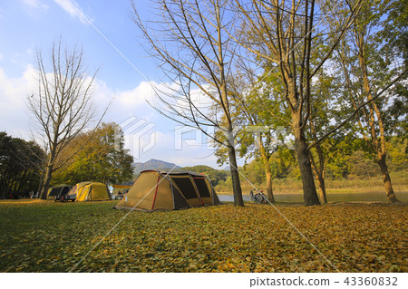 Camping, Autumn, Songho National Tourist Spots Camping, Autumn, Songho National Tourist Spots 43360832