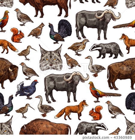 Wild animals sketch seamless pattern background Wild animals sketch seamless pattern background 43360989
