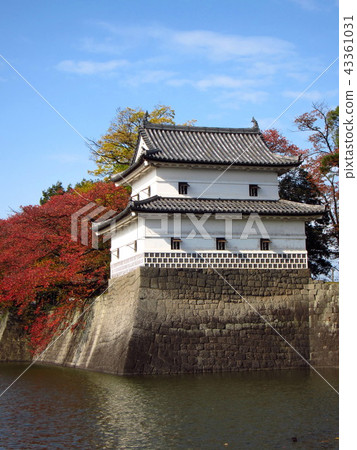 Shibata castle autumn 43361031