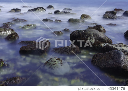 Orang, Daegu, Busan Orang, Daegu, Busan 43361476