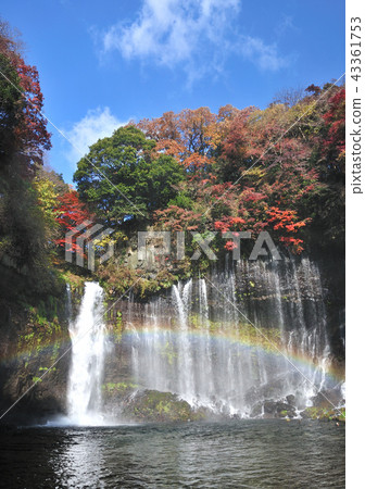 Shiraito Falls and Autumn Leaves and Rainbow-17013 Shiraito Falls and Autumn Leaves and Rainbow-17013 43361753