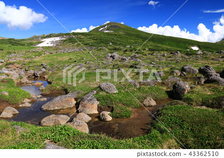 Northern Alps Unzenaira Japan Alpine plant and rock walking in the last secret zone 43362510