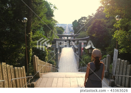 Miyaji Sakai Shrine Approach(輕路)晚上 Miyaji Sakai Shrine Approach(輕路)晚上 43363026