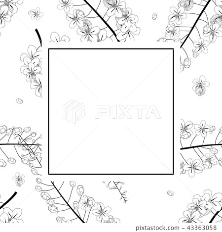 Cassia Fistula Outline - Golden Shower Flower Card 43363058