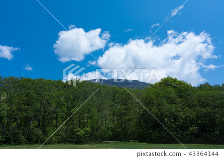 Kasumamine plateau in early summer 43364144