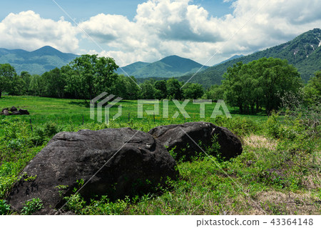 Kasumamine plateau in early summer 43364148