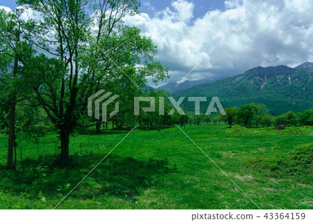 Kasumamine plateau in early summer 43364159