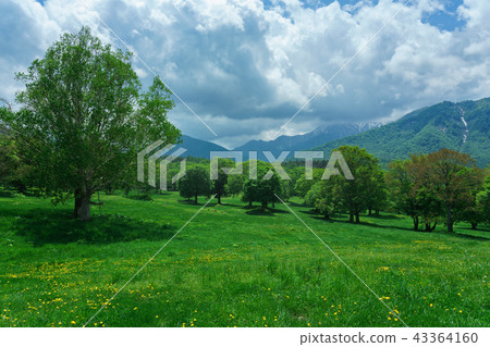 Kasumamine plateau in early summer 43364160