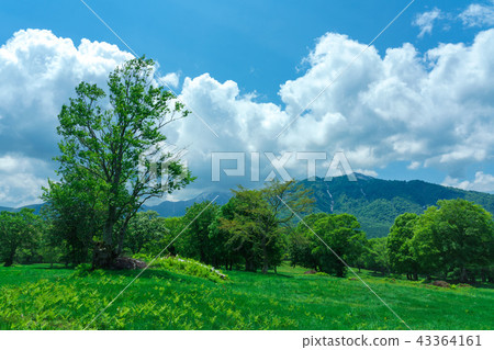 Kasumamine plateau in early summer 43364161
