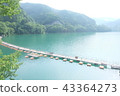 Okutama湖鮮綠色橋樑海濱新鮮的綠色 43364273