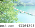Okutama湖鮮綠色橋樑海濱新鮮的綠色 43364293