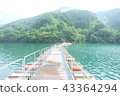 Okutama湖鮮綠色橋樑海濱新鮮的綠色 43364294