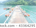 Okutama湖鮮綠色橋樑海濱新鮮的綠色 43364295