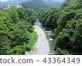 奧多摩山流自然綠河玩初夏 43364349