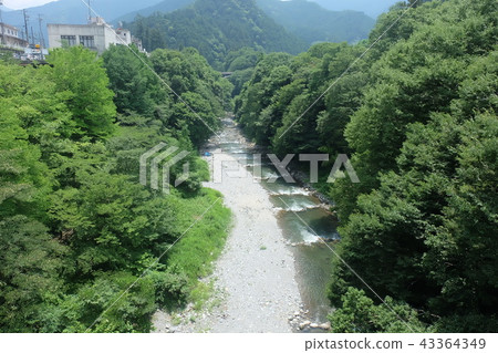 奧多摩山流自然綠河玩初夏 43364349