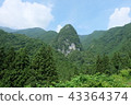 奧多摩洞穴森林路徑初夏公共汽車 43364374