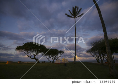 露營,夏威夷 露營,夏威夷 43364515