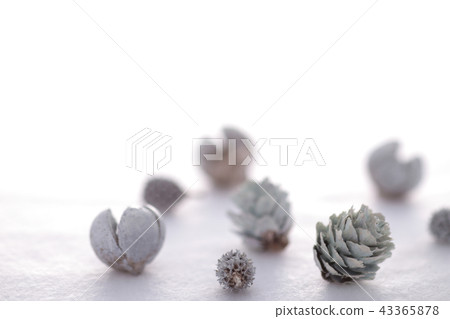 聖誕飾品 43365878