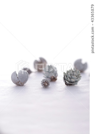 聖誕飾品 43365879