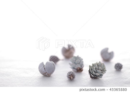 聖誕飾品 43365880