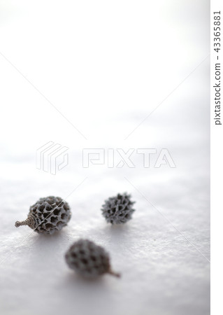 聖誕飾品 43365881