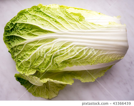 Cabbage isolated. Cabbage isolated. 43366439
