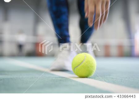 Tennis tennis ball Tennis tennis ball 43366443