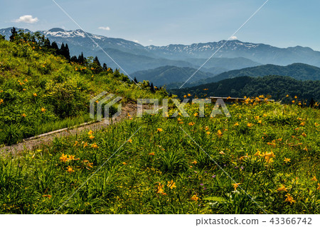 Hakusan Takayama Botanical Garden Hakusan Takayama Botanical Garden 43366742