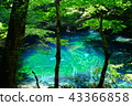 Lake of the boiling lake in Lake 12 of Shirakami Sanchi 43366858