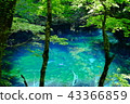 Lake of the boiling lake in Lake 12 of Shirakami Sanchi 43366859