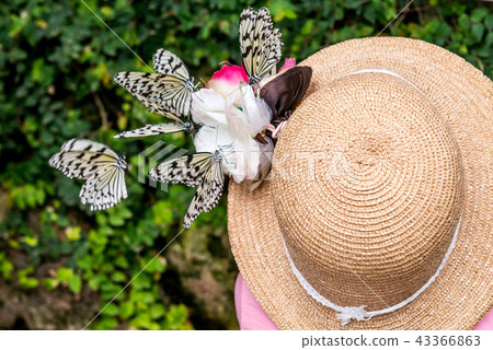 聯繫昆蟲館 43366863