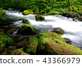 Oirase stream 43366979