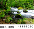 Oirase stream 43366980