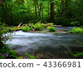 Oirase stream 43366981