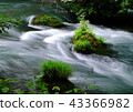 Oirase stream 43366982