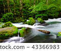 Oirase stream 43366983