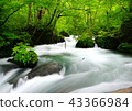 Oirase stream 43366984