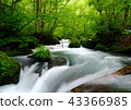 Oirase stream 43366985