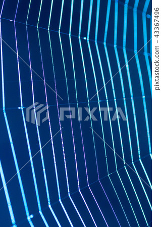 cobweb - an abstract background 43367496