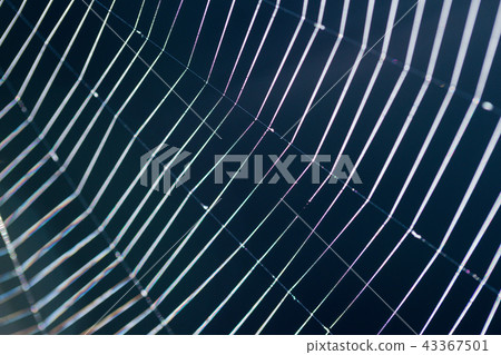 cobweb - an abstract background cobweb - an abstract background 43367501